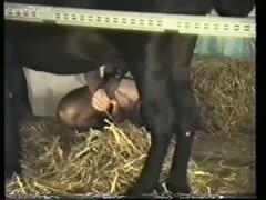 Thick bottom never in advance of seen dilettante horny white wife fucking a brute